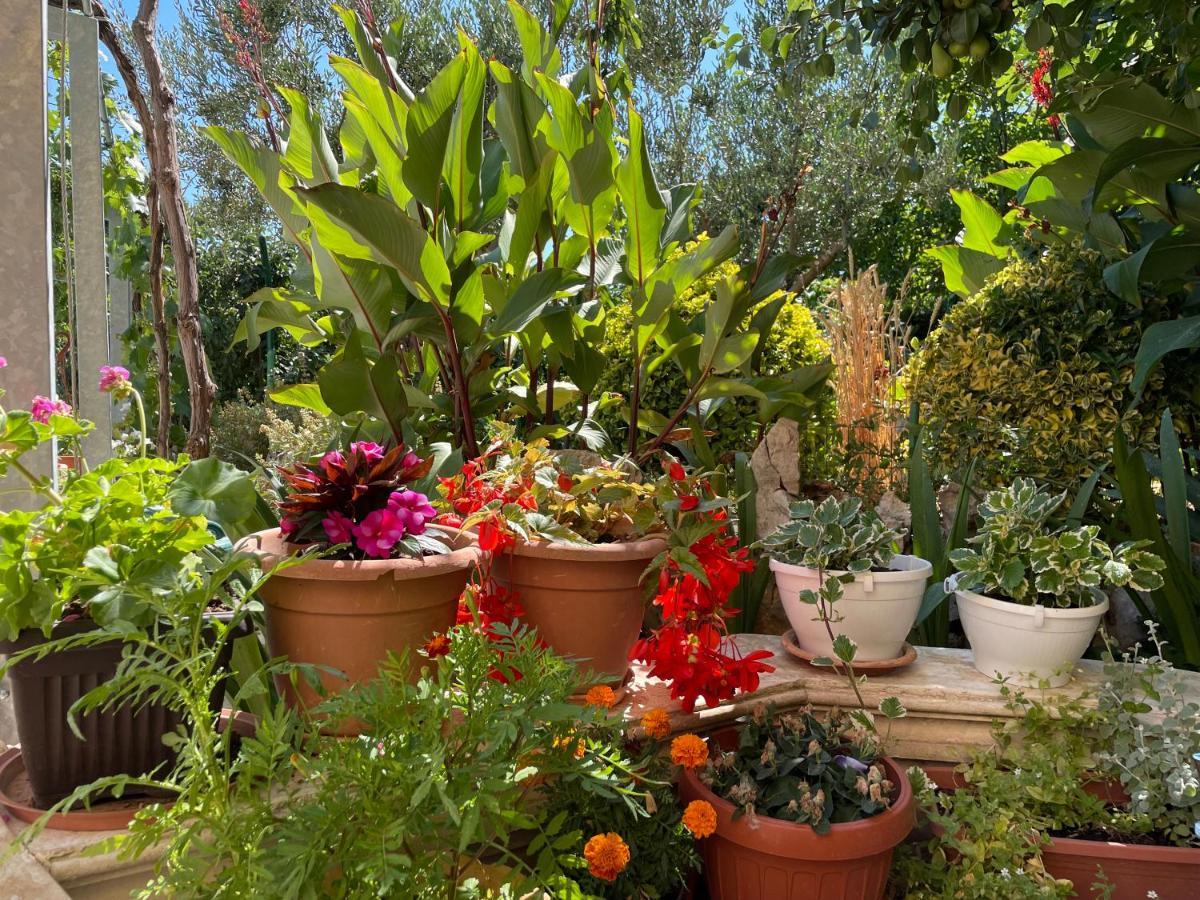 ז'אבוריץ' Apartments Villa Ra מראה חיצוני תמונה